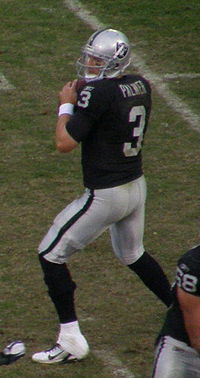 Carson Palmer