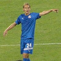 Domagoj Vida