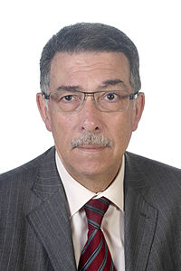 Gian Nicola Babini
