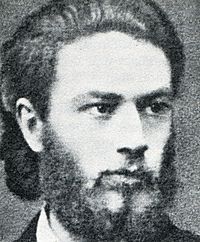 Heinrich Braun 