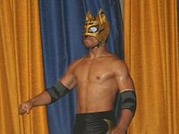 Lince Dorado