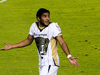 Martín Bravo