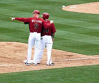 Matt Williams 