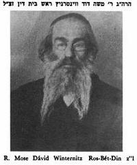 Moshe Dovid Winternitz