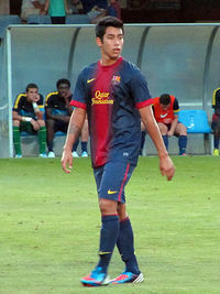 Sergio Araujo