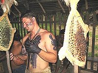 Steve Backshall