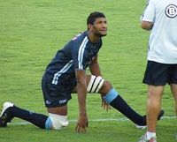 Steve Mafi