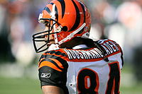 T. J. Houshmandzadeh