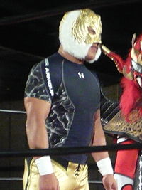 Tiger Mask IV